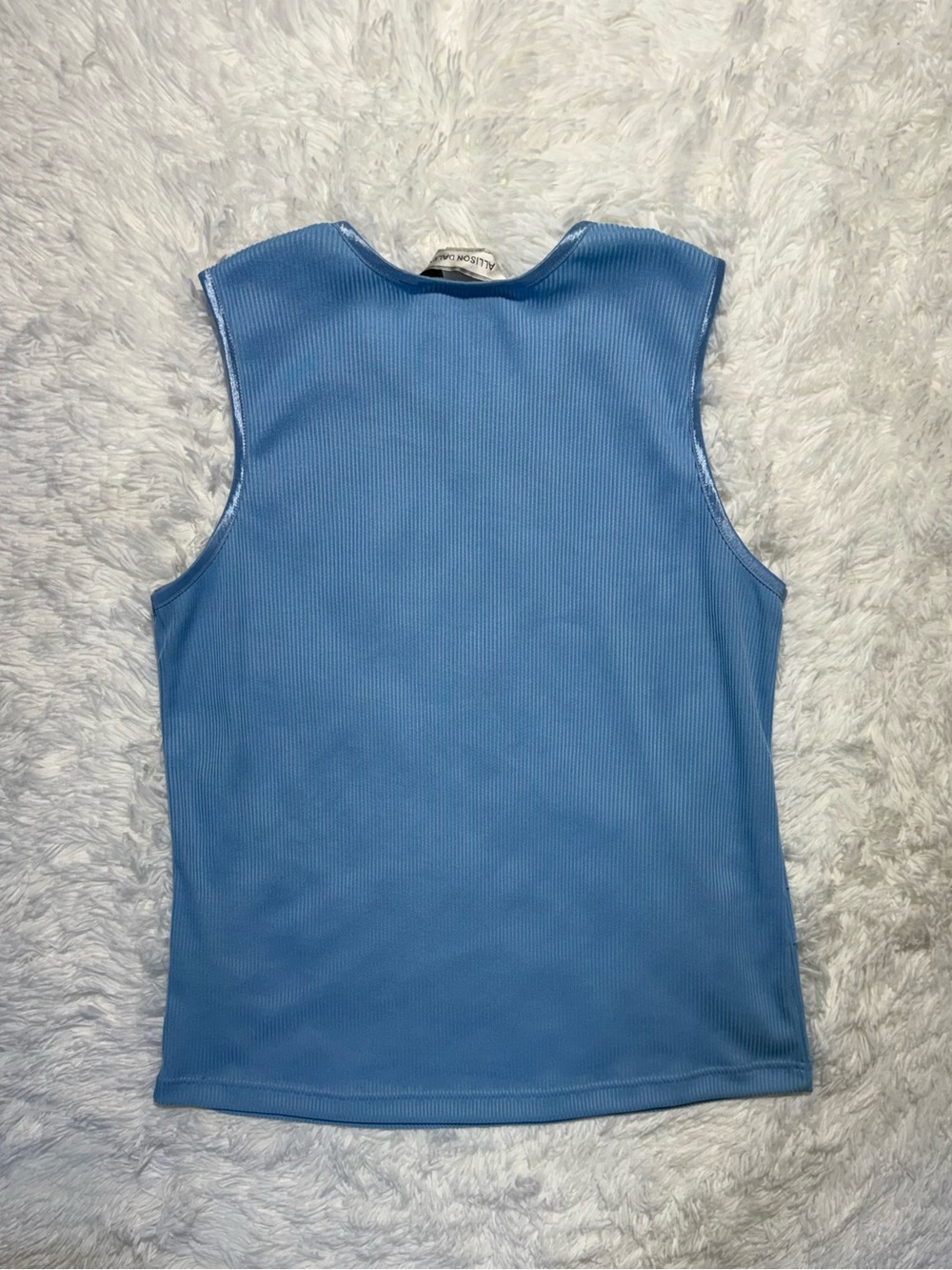 Allison Daley Sleeveless Tops Bundle Lot of 2 Blue Magenta Size L / PL - Picture 7 of 10